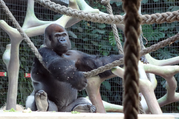 Bildergalerie Bild 8