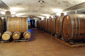 Bildergalerie Bild 13