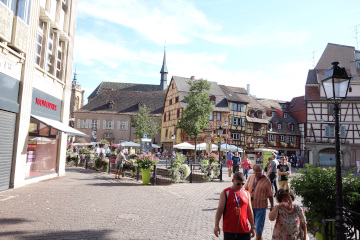 Bildergalerie Bild 15